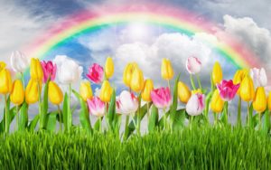 nauka śpiewu kraków